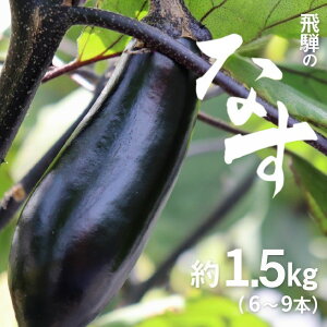 yӂ邳Ɣ[Łzss\ty6{`10{z˂̂Ȃ 1.5kg(6`9{) ֎q iX Ȃ Yn Ė  [Q791_u]