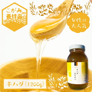 yӂ邳Ɣ[ŁzLn_ I 1200g ݂͂ n`~c Y M [Q1204x]