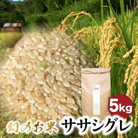 【ふるさと納税】ササシグレ 5kg 白米 玄米 令和5年産 米 ごはん お米 無農薬栽培 無化学肥料栽培 サノライス[Q2331] 24000円