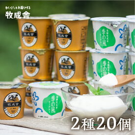 【ふるさと納税】飛騨の牛乳屋こだわり ヨーグルト 2種類 食べ比べ 盛沢山 20個 セット カップヨーグルト 乳製品 ギフト まとめ買い 牧成舎 [A0093] 《hida0307》