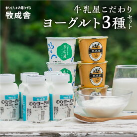 【ふるさと納税】飛騨 牧成舎 ヨーグルト 3種 11個 セット 食べ比べ ギフト まとめ買い 牧成舎 冷蔵 冷蔵保存 さっぱり ヘルシー 生クリーム 濃厚 生乳 プレゼント 日時指定 時間指定 乳製品[Q1057w] 《hida0307》