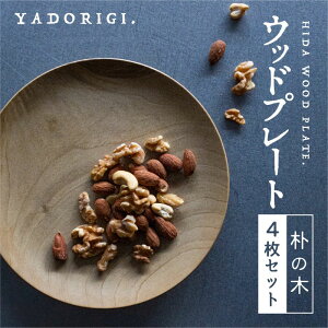 yӂ邳Ɣ[Łz4Zbg ˎY Ebhv[g ؂̂M p̖ 21cm M ƋH[ǂ肬 Mtg 蕨 H V VZbg j Vzj [Q1074x]100000~ 10~