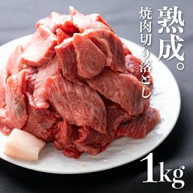 【ふるさと納税】飛騨の牧場で育った熟成飛騨牛『山勇牛』 焼肉 切り落とし 1kg 切落し 訳あり 訳アリ わけあり ワケアリ 不揃い ミックス 希少部位入り A4・A5ランク飛騨牛 牛肉 肉 和牛 国産