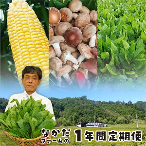 yӂ邳Ɣ[ŁzȂt@[4񂨓͂ NԒ  ق Ƃ낱  y  ₳  󂠂 킯 mQ1378n40000~ 4~ shida0307t