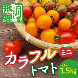 【ふるさと納税】《先行予約》《期間限定・数量限定》飛騨産 トマト ミニトマト カラフルキュートなミニトマトの詰め合わせたっぷり1.5kg！ とまと[Q216re]10000円