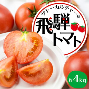 �y�ӂ邳�Ɣ[�Łz�s�ߘa8�N�Y��s�\���t�� 2026�N�Y�t����� ��˃g�}�g ��1.8kg�i8�|12�ʁj ��4kg �P�i �Y�n���� ��� �Ƃ܂� �g�}�g �ăg�}�g �H�g�}�g �팎 �Ė�� �₳�� �_�ƒ��� �T�g�[