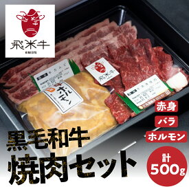 【ふるさと納税】《簡易包装》飛米牛 ひめぎゅう 焼肉セット（合計500g）赤身・バラ肉 各150g　味付けホルモン200g　焼肉 BBQ バーベキュー10000円 1万円