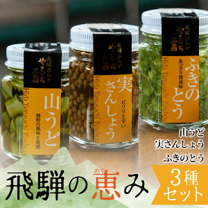 山菜 国産 缶詰 瓶詰の人気商品 通販 価格比較 価格 Com