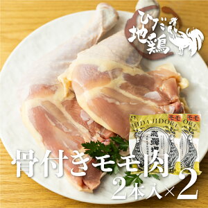 yӂ邳Ɣ[ŁzЂn{t`L4{ Y n{ Yn{ t t [Xg`Lp  {  NX}X p[eB[ z[p[eB[ Xmas [Q2618]10000~ 1~