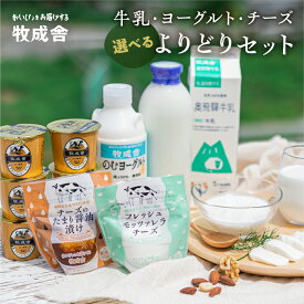 【ふるさと納税】訳あり 選べる 乳製品セット ＜牧成舎＞牛乳 ヨーグルト チーズ よりどりセット 飛騨産生乳で作ったこだわりの乳製品セット ヨーグルト ギフト まとめ買い 牧成舎 日時指定可能[B0096]10000円