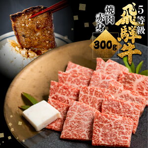 yӂ邳Ɣ[Łzs1TԒxŔtˋorē 300g Ă BBQ Y Y   I n p ̉