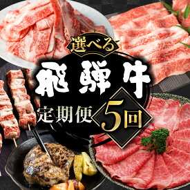 【ふるさと納税】飛騨牛 定期便 5か月 （ スライス すき焼き しゃぶしゃぶ ハンバーグ 牛串） 5回 定期便 お楽しみ 食べ比べ 牛肉 肉 お肉 和牛 人気 定期 [Q1675]60000円 6万円