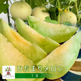 【ふるさと納税】《先行予約》CHACRA DE MELLIZASのひだまりメロン 1個 メロン フルーツ 果物 くだもの 夏［Q1822］12000円