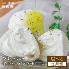 【ふるさと納税】チーズ 定期便 選べる 回数 乳製品＜牧成舎＞チーズ フレッシュ モッツァレラチーズ 冷蔵 小分け 個包装 カプレーゼ パスタ ピザ おつまみ 前菜 サラダ 低温殺菌 新鮮 定期便 12回 12か月 [Q1939] 《hida0307》 どやな飛騨市