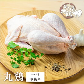 【ふるさと納税】訳あり 鶏肉 丸鶏 中抜き 1羽 飛騨地鶏 地鶏 とり肉 水炊き ローストチキン タッカンマリ サムゲタン 参鶏湯 クリスマス パーティー アウトドア BBQ キャンプ [Q2616]10000円 1万円