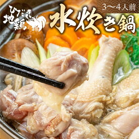 【ふるさと納税】鍋 セット 水炊き鍋 3〜4人前 鶏しお鍋 飛騨地鶏 スープ付 ラーメン付 モモ肉 手羽元 グルメ お鍋 [Q2217wx]10000円 1万円 《hida0307》