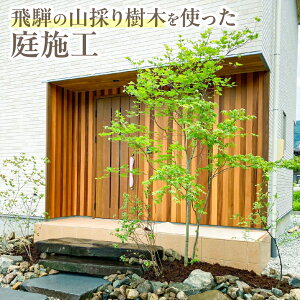 yӂ邳Ɣ[Łz˂̎R̂؂Œ둢 {H T[rX   [Q2303]