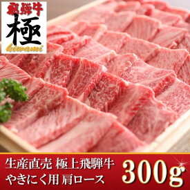 【ふるさと納税】飛騨の定番！飛騨牛朴葉味噌セット 朴葉みそ 飛騨牛 "極" 飛騨ファンの方へ 飛騨牛 和牛 肉 味噌 みそ 岐阜県 飛騨市 [C0067]25000円