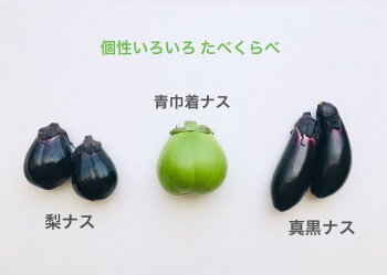 野菜