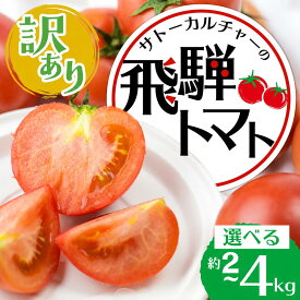 【ふるさと納税】【訳あり】飛騨トマト 選べる内容量 約2~4kg / とまと トマト 訳あり 訳アリ 麗月 夏野菜 トマト 不揃い 傷 キズ 玉数・大きさおまかせ サトーカルチャー 規格外 2キロ 4キロ サラダ ジュース 料理に たっぷり 産地直送 国産 野菜 飛騨市