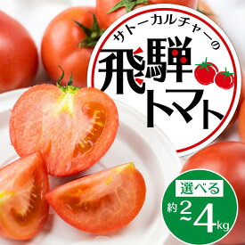 【ふるさと納税】飛騨トマト 選べる内容量 約2~4kg / とまと トマト 麗月 夏野菜 玉数・大きさおまかせ サトーカルチャー 2キロ 4キロ サラダ ジュース 料理に たっぷり 産地直送 国産 野菜 飛騨市