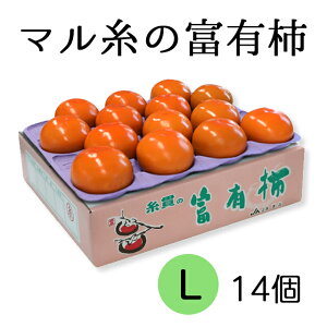 yӂ邳Ɣ[Łzys\zߘa7NYs`̉lt} xL` LTCY ( 14 ) 11{蔭\ [mt703_25]b xL` ӂ䂤 t[c JL ʕ  Yn 
