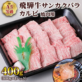 【ふるさと納税】 [A5等級] 飛騨牛サンカクバラカルビ焼き肉用400g トキノ屋食品 本巣市 [0859] 22000円