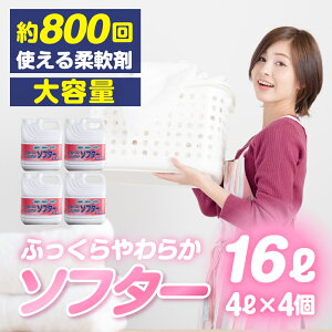 yӂ邳Ɣ[Łzy9ԌCP{z[] ߗp t̏_܃Zbg 16L ( 4L× 4 ) t̏_ \t^[   Rۍ ÓdCh~ V ӂ pi    Օi 