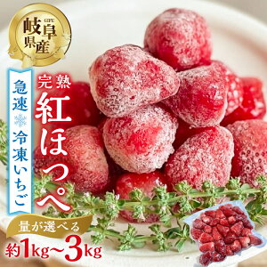 yӂ邳Ɣ[Łzy2026N5`z} Ⓚ gق Iׂ 1kg ~ 3kg (500g × 2p 3p 6p) ȈՍ TCY s 󂠂 A t[c ʕ   C`S ACX [Og family