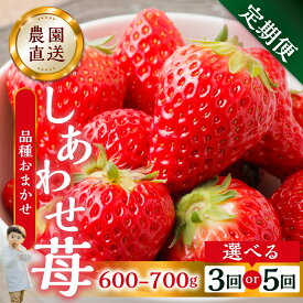 【ふるさと納税】【2027年1月以降発送】【定期便3回 5回 選べる】自宅用 いちご 品種おまかせ 600-700g ×3回 紅ほっぺ よつぼし かおり野 サイズ バラバラ 訳あり 訳アリ 農園直送 [mt196] フルーツ スイーツ 苺 イチゴ 人気 簡易梱包 岐阜県 本巣市 3万 5万 先行予約