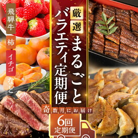 【ふるさと納税】《定期便》本巣市まるごと定期便 奇数月にお届け 全6回 | 飛騨牛 牛肉 肉 ステーキ 和牛 豚肉 にく 惣菜 餃子 ギョウザ うなぎ ウナギ 鰻 蒲焼 フルーツ 果物 イチゴ いちご 苺 柿 かき 富有 柿 富有柿 お楽しみ [mt1714] 岐阜県 本巣市 100000円 10万円