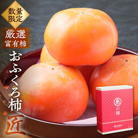 【ふるさと納税】【先行予約】令和7年産《柿の王様》マル糸 の おふくろ柿 匠 ( 5個入 ) 11月下旬より発送予定 [mt190]｜かき 富有柿 ふゆうがき フルーツ カキ 果物 くだもの 産地直送 岐阜県 本巣市 48000円