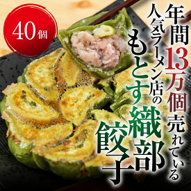 【ふるさと納税】あっさり塩味、織部焼リスペクトの「もとす織部餃子 40個」ぎょうざ ギョウザ 冷凍 あたためるだけ お取り寄せ グルメ グルメ [mt1580] 8000円