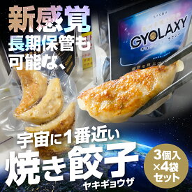 【ふるさと納税】[宇宙に一番近い焼き餃子] 銀河系焼き餃子 GYOLAXY 3個入×4袋 ぎょうざ ギョウザ アウトドア キャンプ 登山 非常食 備蓄 常備食 フリーズドライ 岐阜県 本巣市 [0322] 12000円