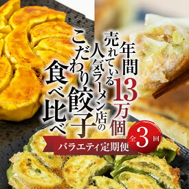 【ふるさと納税】【定期便3回】餃子バラエティ 人気餃子 食べ比べ ぎふ絶品餃子 飛騨牛 餃子 もとす織部 冷凍餃子 業務用 ぎょうざ ギョウザ 冷凍 グルメ お取り寄せ グルメ 冷凍食品 国産素材 肉 牛肉 豚肉 ジューシー もちもち [mt1861]