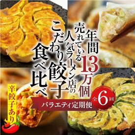 【ふるさと納税】【定期便6回】餃子バラエティ（辛餃子あり）人気餃子 食べ比べ ぎふ絶品餃子 飛騨牛 もとす織部 モーニング餃子 宇宙餃子 唐辛子餃子 冷凍餃子 業務用 ぎょうざ ギョウザ お取り寄せ グルメ 冷凍食品 国産素材 肉 牛肉 豚肉 ジューシー もちもち [mt1863]