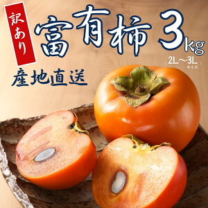 yӂ邳Ɣ[Łzy 󂠂 zߘa7NY xL` 3kg ( 2L~ 3L ) 10-12 JL  ʕ  t[c TCYs \ LY F ƒpKi ̂ A 킯 p ƒp 