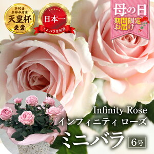 yӂ邳Ɣ[Łzy̓z~jo Ԕ 6 vZXEIuECtBjeB Yn [57`10 ͂] lG炫  K[fjO Y { Vct  zs KN