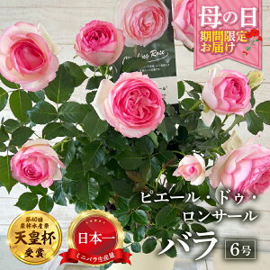 yӂ邳Ɣ[Łzy̓zo Ԕ 6 sG[EhDT[ Yn [57`10 ͂] lG炫  K[fjO Y { Vct  zs KN Zg