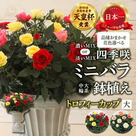 【ふるさと納税】産地直送 花色 選べる ミニバラ トロフィーカップ（大） [11月〜4月 お届け] 品種 おまかせ のため 訳あり 訳アリ 四季咲き ミニバラ 花 ガーデニング 生産量 日本一 天皇杯 鉢植 ※沖縄 離島配送不可 薔薇 セントラルローズ [mt1903] 100000円 10万