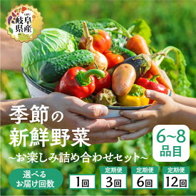 【ふるさと納税】季節の野菜セットA 6〜8品目 選べる お届け回数 1回 3回 6回 12回 お届け 定期便 3か月 6か月 12ヶ月 品目おまかせ BBQ 春 夏 秋 冬 野菜 料理 自宅用 岐阜県産 本巣市 新鮮 やさい 数量限定 冷蔵 道の駅 織部の里 [mt1587] 8000円