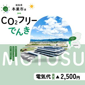 【ふるさと納税】本巣市産 CO2 フリーでんき 10,000 円コース（注：お申込み前に申込条件を必ずご確認ください）中部電力ミライズ 電気 電力 岐阜県 愛知県 三重県 静岡県 長野県 中電 10000円 1万円