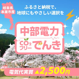 【ふるさと納税】本巣市産 CO2 フリーでんき 10,000 円コース（注：お申込み前に申込条件を必ずご確認ください）中部電力ミライズ 電気 電力 岐阜県 愛知県 三重県 静岡県 長野県 中電 10000円 1万円