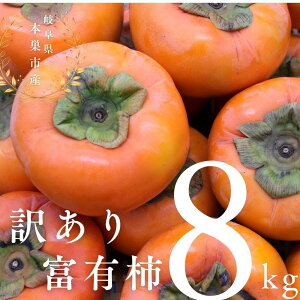 yӂ邳Ɣ[Łzy2025N11{`zߘa7NY 󂠂 xL` 8kg TCY ܂ `  t[c  ӂ䂤 ʕ 킯 A s KiO  ӂ낢 Bi t[c {