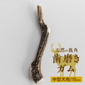 【ふるさと納税】鹿角 犬用 歯磨きガム 15cm 1本 中型犬用 デンタルケア おもちゃ ペット用品 犬 消毒済み 国産 天然 [mt1858] 6000円