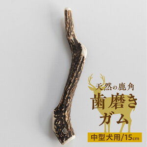 yӂ邳Ɣ[Łzp p K 15cm 1{ ^p f^PA  ybgpi  ōς Y VR [mt1858] 6000~