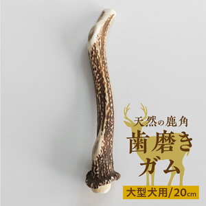 yӂ邳Ɣ[Łzp p K 20cm ^p f^PA  ybgpi  ōς Y VR [mt1859] 7000~