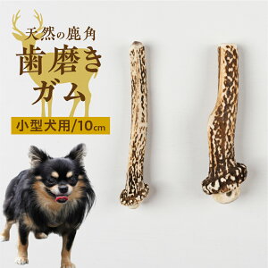 yӂ邳Ɣ[Łzp p K 10cm 2{ ^p f^PA  ybgpi  ōς Y VR [mt1805] 7000~
