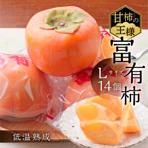 �y�ӂ邳�Ɣ[�Łz�y�N�������z[��s�\��]�s�`�̉��l�t�����ʎ����̃t���b�V���p�b�N�x�L�`L�T�C�Y14���� �ቷ�n�� 1����{�`1�����{�����\�� [0782] [mt023]�b���� �x�L�` �ӂ䂤���� �t���[