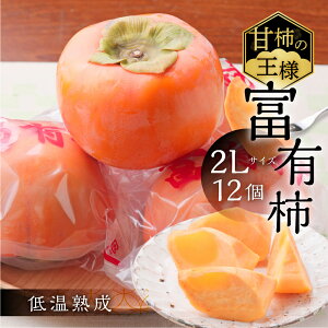 �y�ӂ邳�Ɣ[�Łz[2027�N1���`����] �ߘa8�N�Y�s�`�̉��l�t�����ʎ����̃t���b�V���p�b�N�x�L�`2L�T�C�Y12���� �ቷ�n�� 1����{�`1�����{�����\�� [mt728] �b���� �x�L�` �ӂ䂤���� �t���[